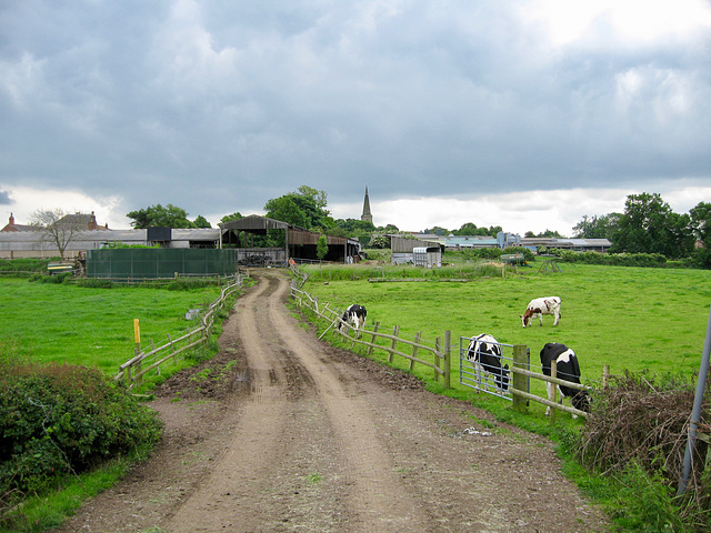 Ivy House Farm and the Church of St Margaret of Antioch at Stoke Golding from the bridge over the Ashby Canal