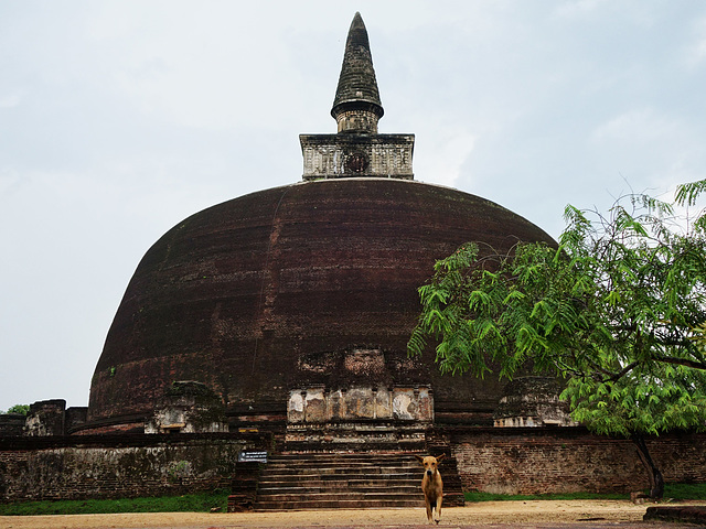 Polonnaruwa, Sri Lanka tour - the sixth day