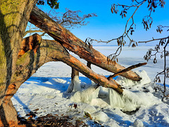 Wunderschöner Winter am Schweriner See