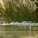 20240628 -0711 Miscon (144) rec 20240628 -0711 Miscon (144) rec