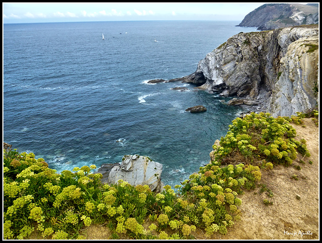 Costa de Barrika