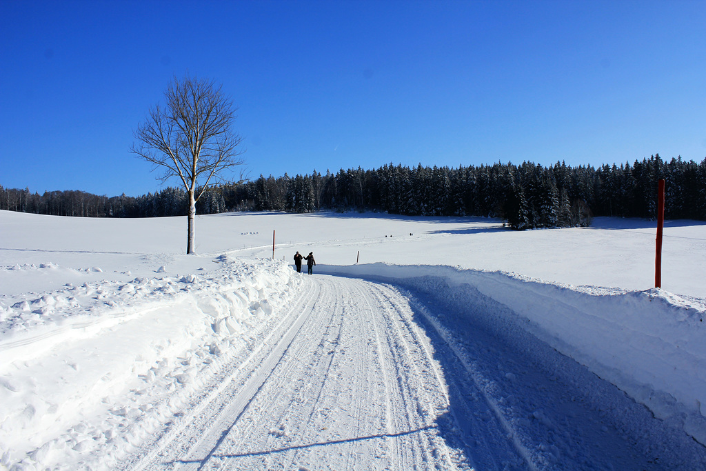 Spaziergang im Schnee
