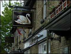 Swan at Eynsham