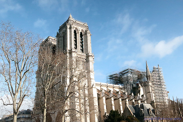 Cathédrale Notre-Dame de Paris