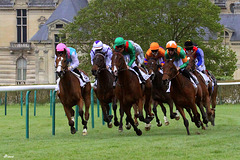 Reprise des courses à Chantilly?