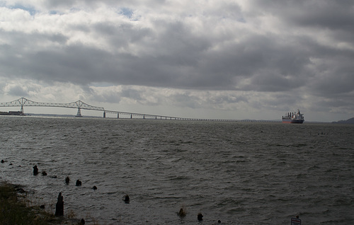 Astoria Megler Bridge (#1290)