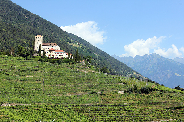 Schloss Lebenberg (PicinPic)