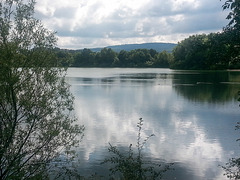 20140824 004Hw [D~SHG] Saßmannsche-Teiche, Rinteln