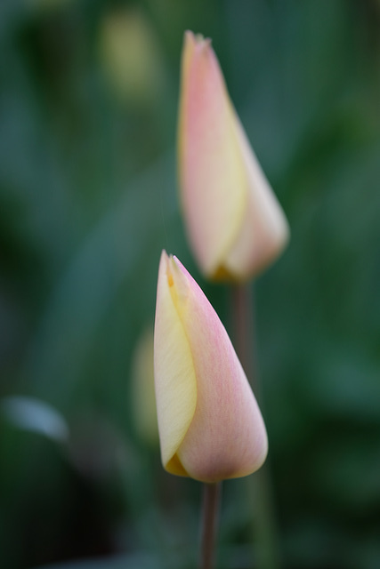 DSCF5304