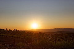 Mogadouro, Portugal, HFF