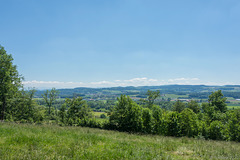 oberhalb der Thur bei Uesslingen (© Buelipix)