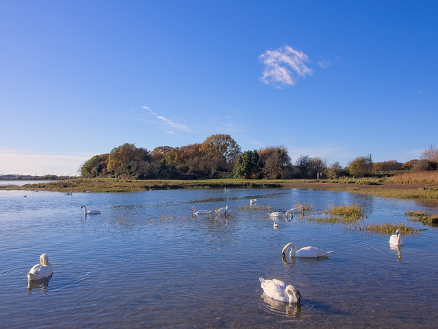 Emsworth Harbour (+PiP)