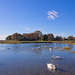 Emsworth Harbour (+PiP)