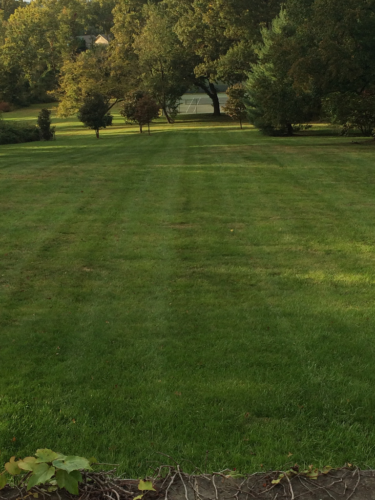 IMG 2015