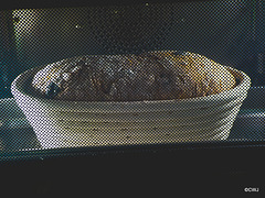 Wholemeal loaf being proved in Banetton basket