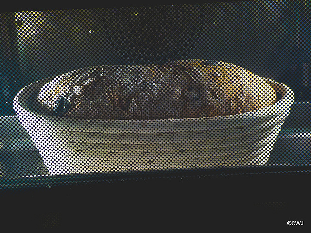 Wholemeal loaf being proved in Banetton basket