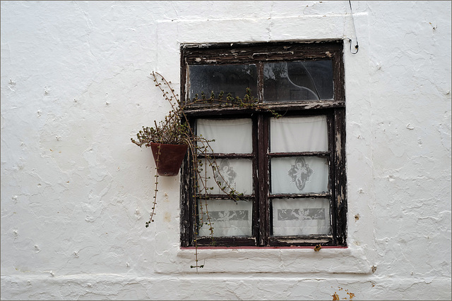 Moura, Alentejo,   Window