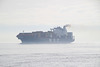 MSC ROMANE