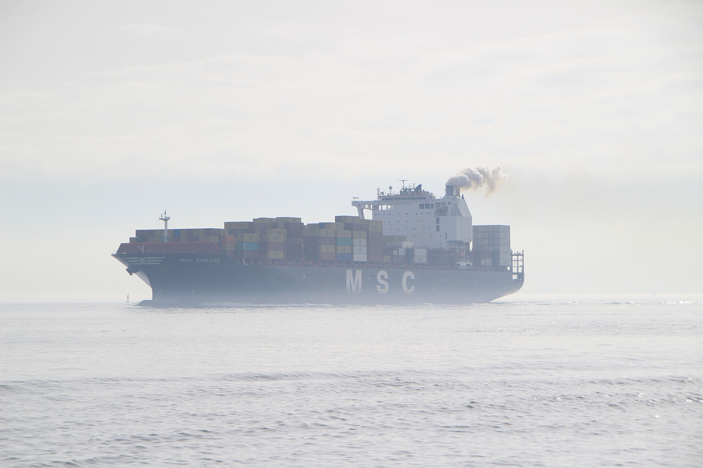 MSC ROMANE