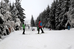 Wintermärchen - vintra fabelo - Altenberg/Sachsen