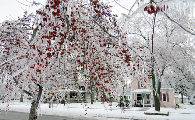 This was one of the worst ice storm in recent years.