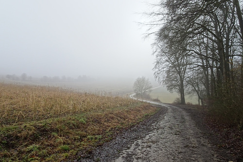 So träumt man in der Oberpfalz von der Welt.