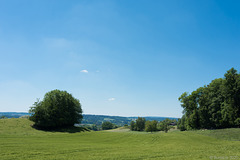 oberhalb der Thur bei Uesslingen (© Buelipix)