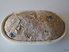 Wholemeal loaf being proved in Banetton basket