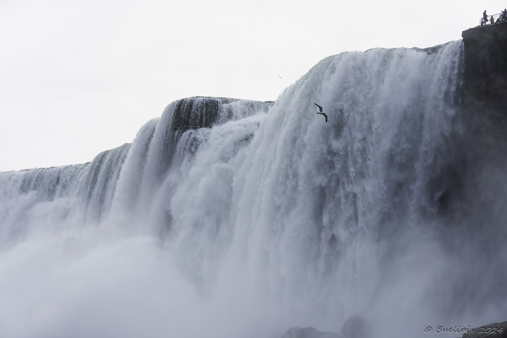 American Falls - view from 'the Mais of the Mist' ... P.i.P. (© Buelipix)