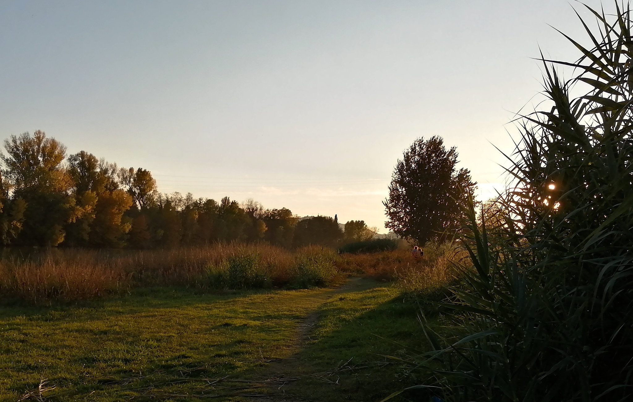 walk along the Arno river (PIP)