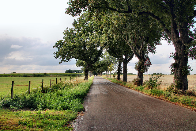 Bergackerstraße (Gelsenkirchen-Resse) / 25.07.2022