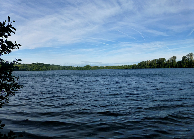 Gesichter der Braunkohle - Neffelsee