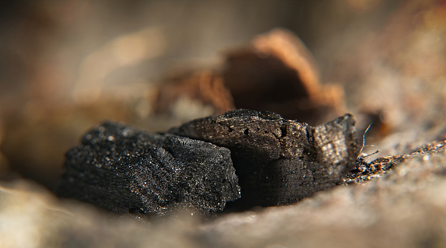 Verbranntes Holz im Lagerfeuer :))  Burnt wood in the campfire :))  Bois brûlé dans le feu de camp :))