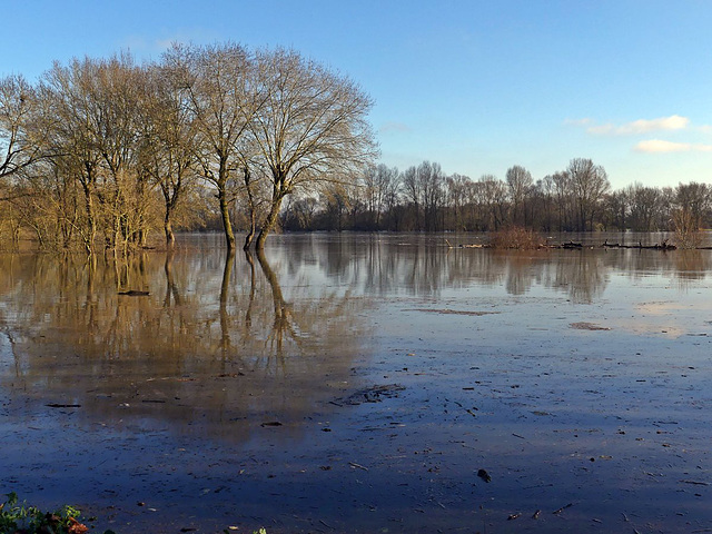 La Loire en crue