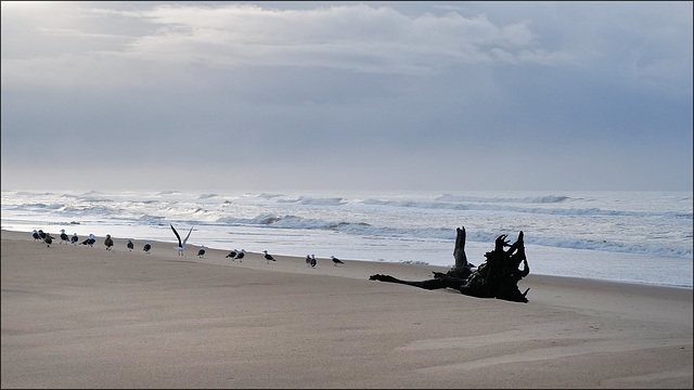 Monte Gordo beach