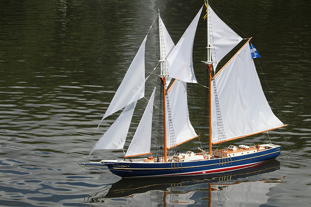 Bluenose