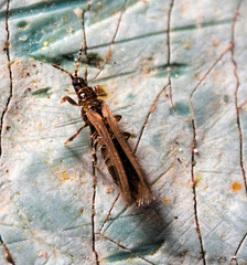 IMG 8808Notsurev2