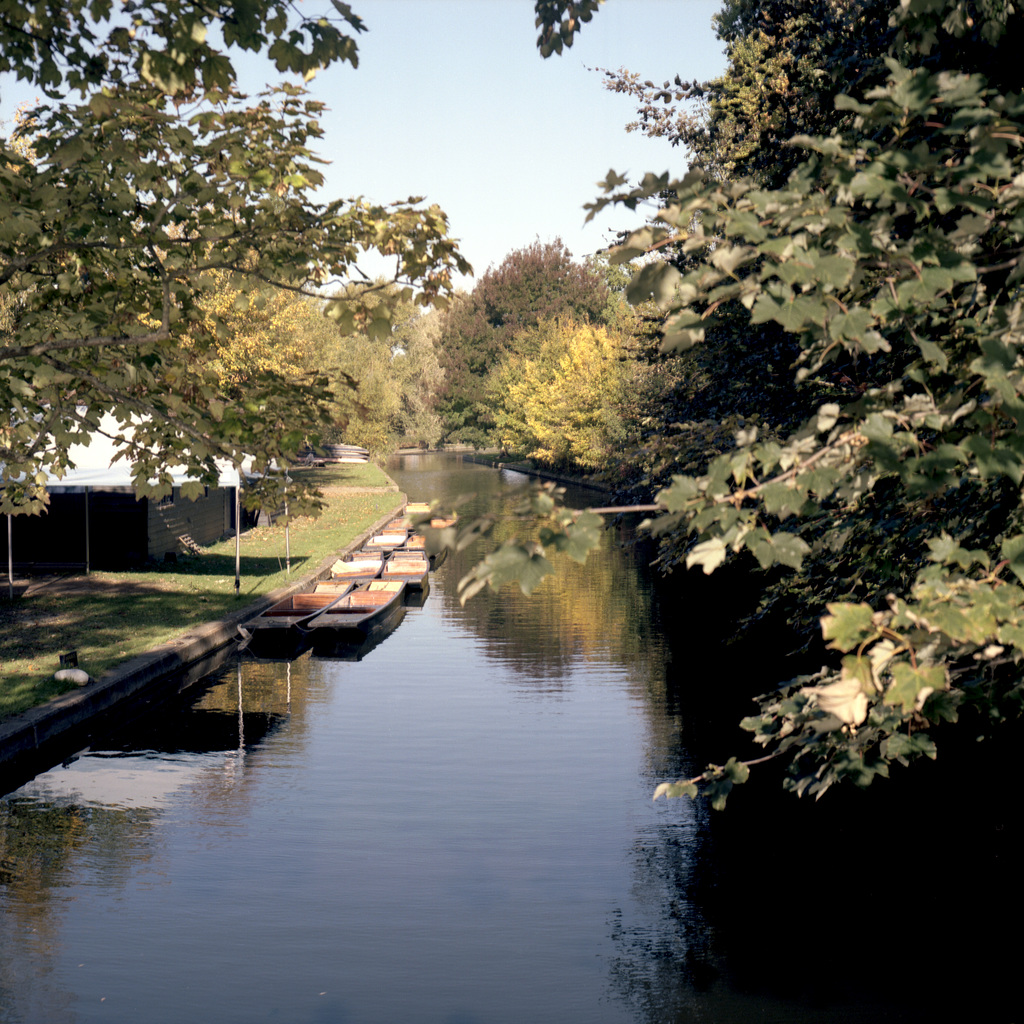 Peaceful River Cam