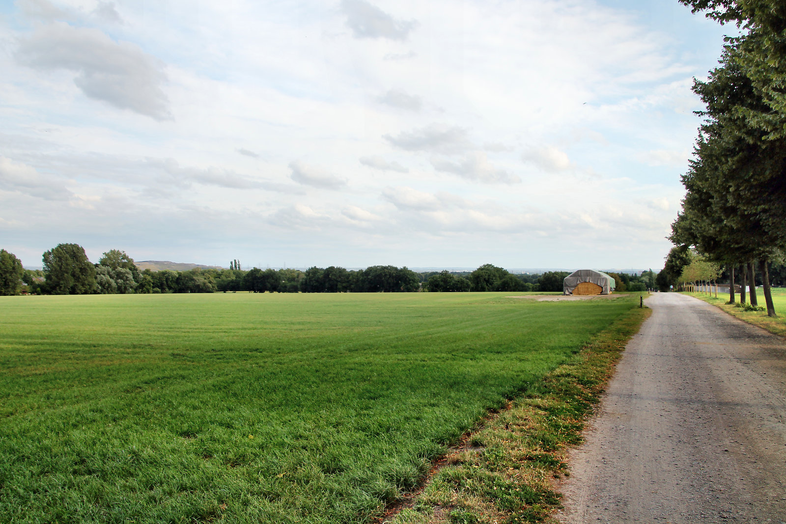 Osterkampsweg (Gelsenkirchen-Resse) / 25.07.2022