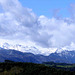 Picos de Europa