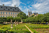 Bamberg - Neue Residenz - Rosengarten