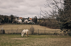 photo 11-Triel Poissy-19022023