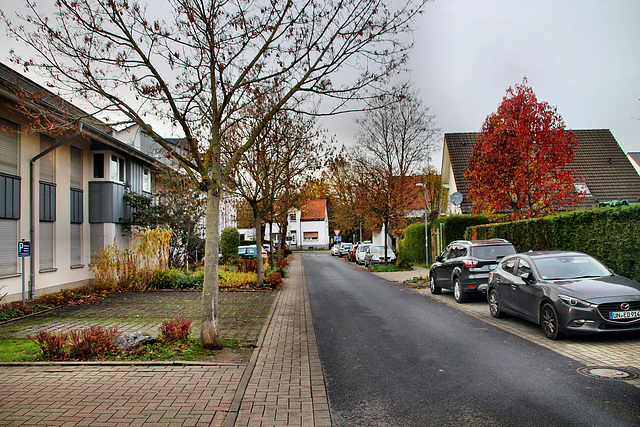 Schlägelstraße (Unna-Königsborn) / 26.11.2022