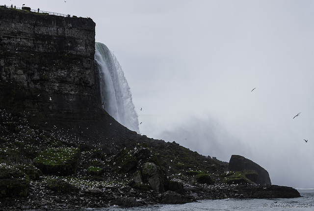 towards Horseshoe Falls ... P.i.P. (© Buelipix)