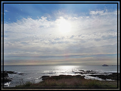 morning walk by the seaside