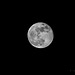 Moon-2