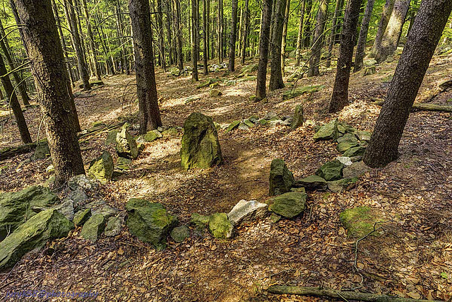 Circle of Stones