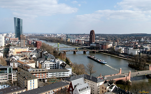 Blick vom Dom