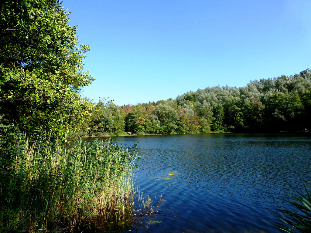 DE - Brühl - Mittelsee