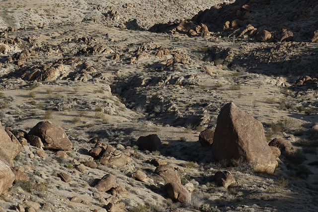 Joshua Tree National Park